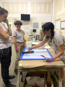 Sylvia T Designs - Master Plaster Artisan, Sylvia Thompson-Dias, instructs two of our Artisan Apprentices proper plaster application on sample boards in our New Orleans shop and showroom.